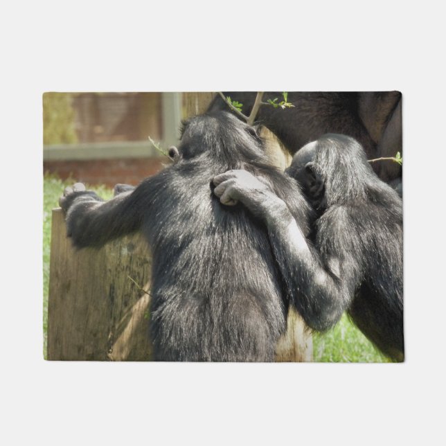 FELPUDO CHIMPANZEES (Anverso)