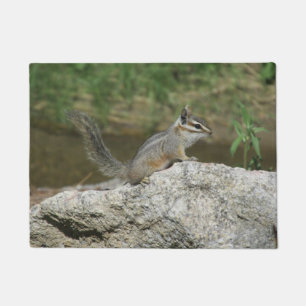 Felpudo Chipmunk del acantilado