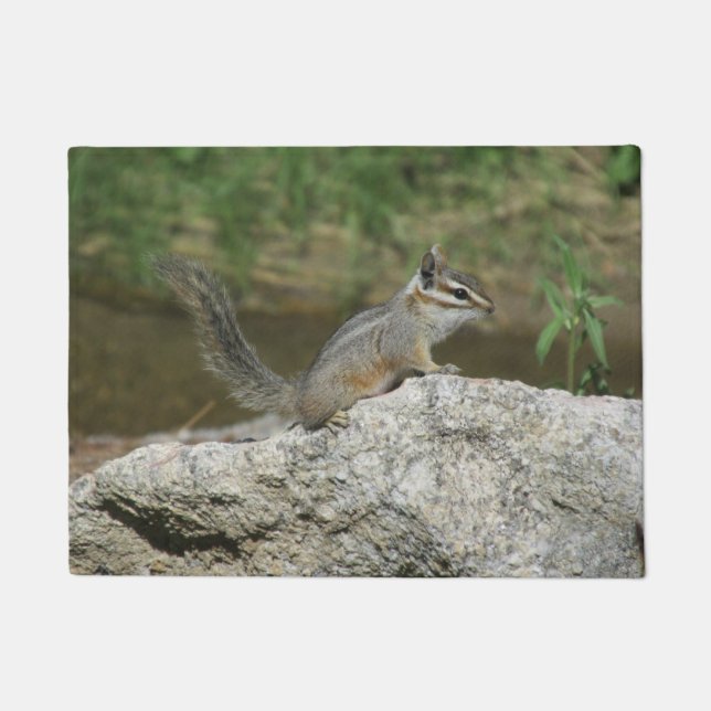 Felpudo Chipmunk del acantilado (Anverso)