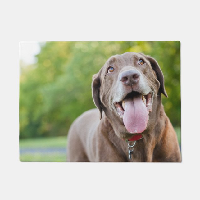 Felpudo Chocolate Labrador Dog (Anverso)