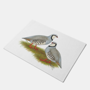 Felpudo Chukar Partridge Pair