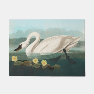 Felpudo cisnes de agua blanca de cisne audubon