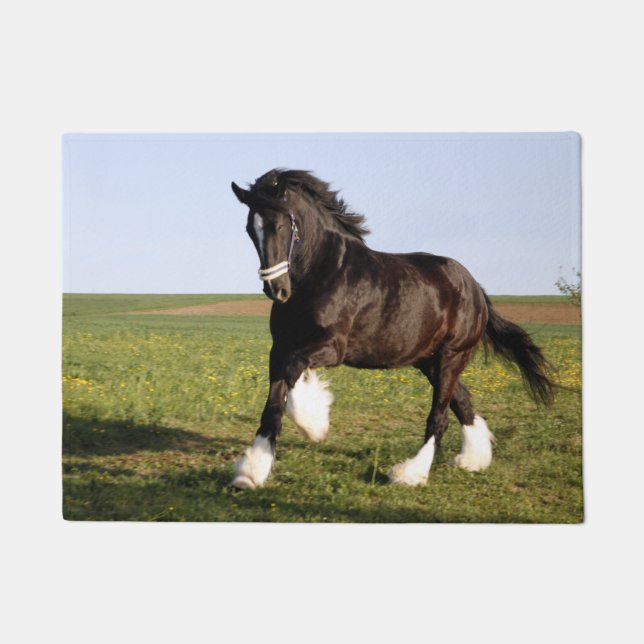 Felpudo Clydesdale Horse (Anverso)