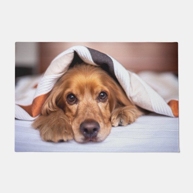 Felpudo Cocker español Perro inglés (Anverso)