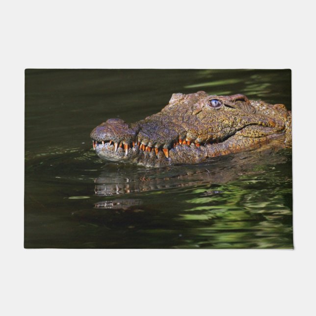Felpudo Cocodrilo (Anverso)