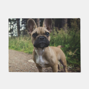 Felpudo Cojín decorativo Bulldog francés