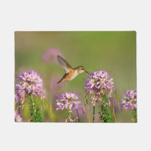 Felpudo Colibrí y Wildflowers
