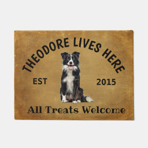 Felpudo Collie de frontera Perro personalizado Perro dorad