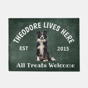 Felpudo Collie de frontera Perro personalizado Perro dorad