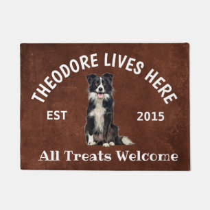 Felpudo Collie de frontera Perro personalizado Perro dorad