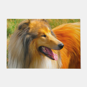 Felpudo Collie de pelo largo.
