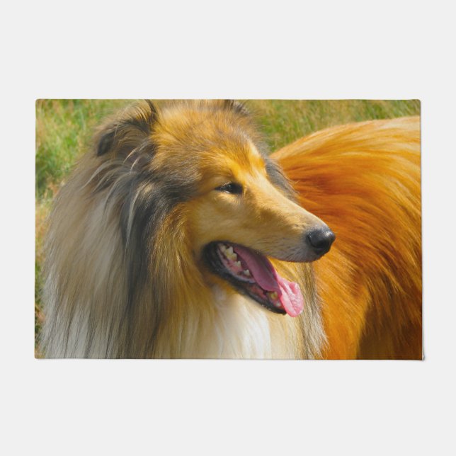 Felpudo Collie de pelo largo. (Anverso)