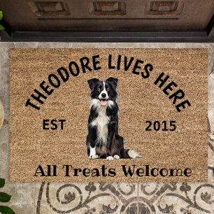 Felpudo Collie Fronterizo Personalizado Perro Lover