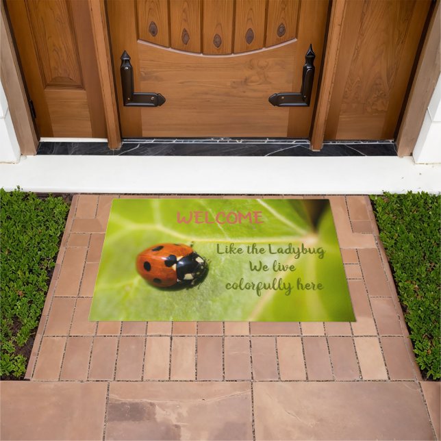 Felpudo Colorida Lucky Ladybug (Exterior)