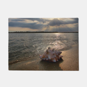 Felpudo Concha Shell en la playa el   St Augustine, la