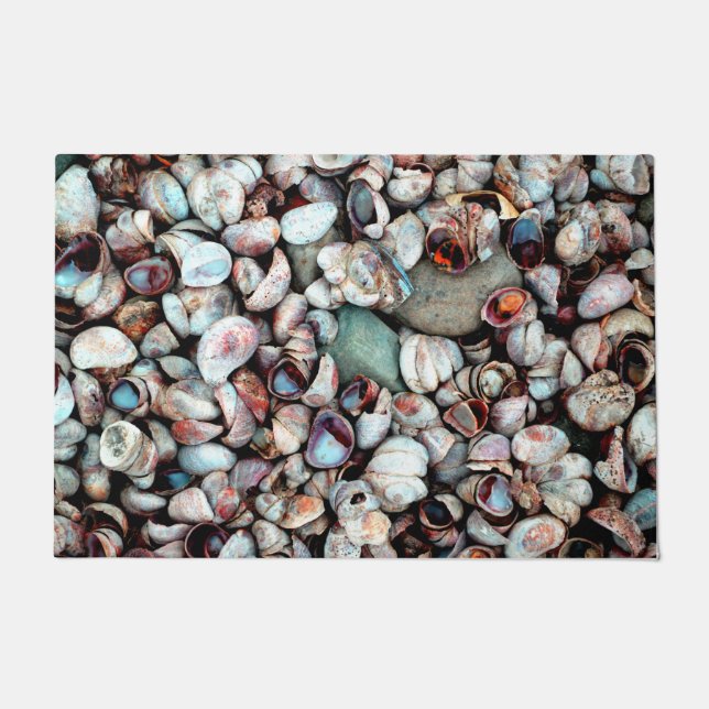 Felpudo Conchas (Anverso)