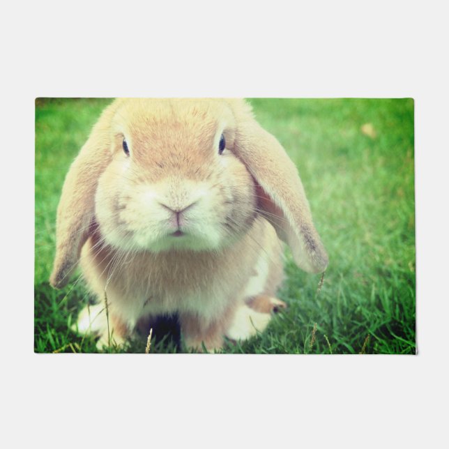 Felpudo Conejo (Anverso)