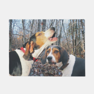 Felpudo Coonhound del caminante de Treeing en estera de
