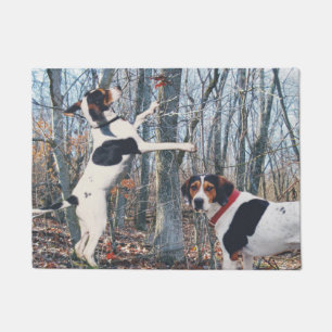 Felpudo Coonhounds del caminante de Treeing en estera de