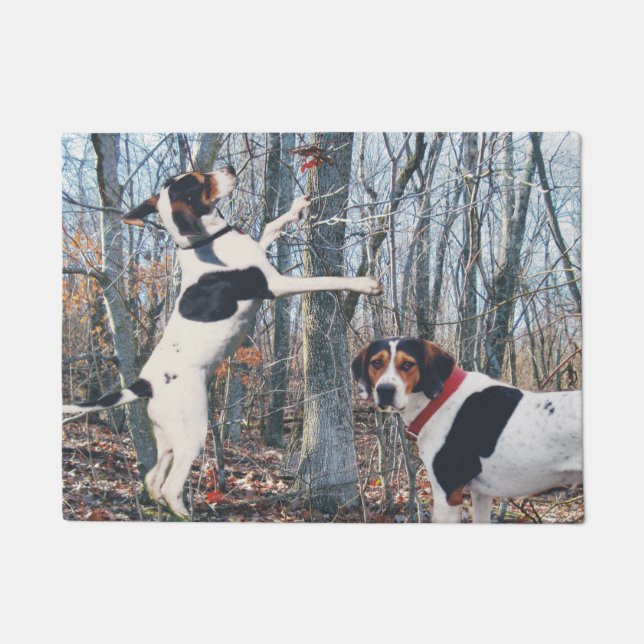 Felpudo Coonhounds del caminante de Treeing en estera de (Anverso)