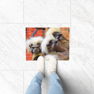 FELPUDO COTTON-TOP TAMARIN MONKEYS