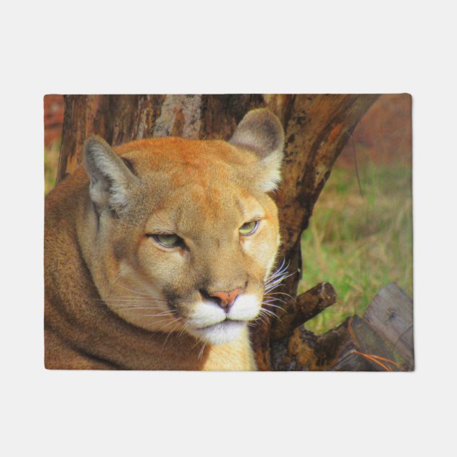 Felpudo Cougar / Florida Panther / Puma Doormat (Anverso)