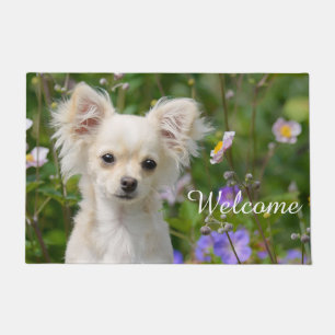 Felpudo Crema cutánea Chihuahua Perro Mascota de cachorros