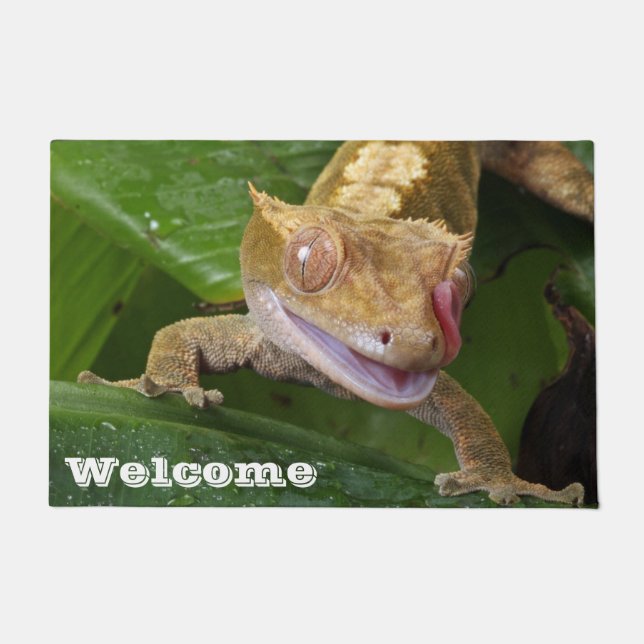 Felpudo Crested Gecko (Anverso)