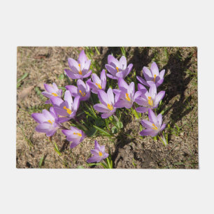 Felpudo Crocus primaverales lindos