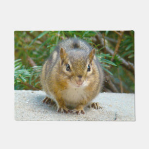 Felpudo Cute Chipmunk Tiene La Vista En Ti