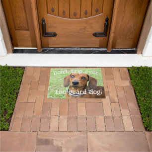 Felpudo Dachshund