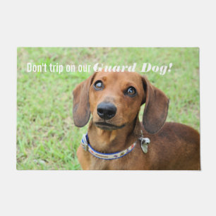 Felpudo Dachshund