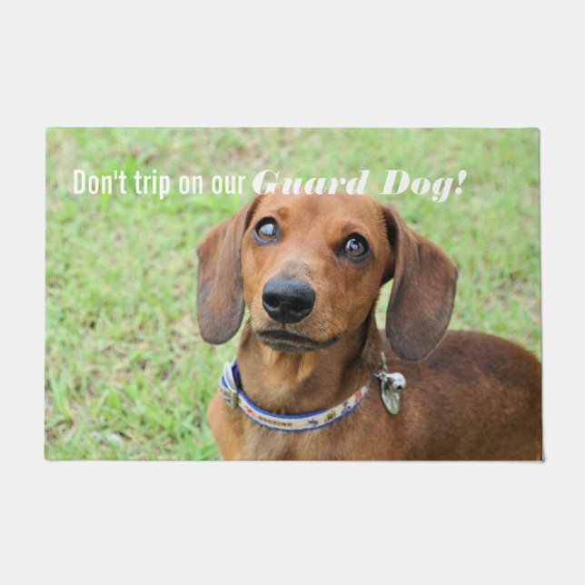 Felpudo Dachshund (Anverso)