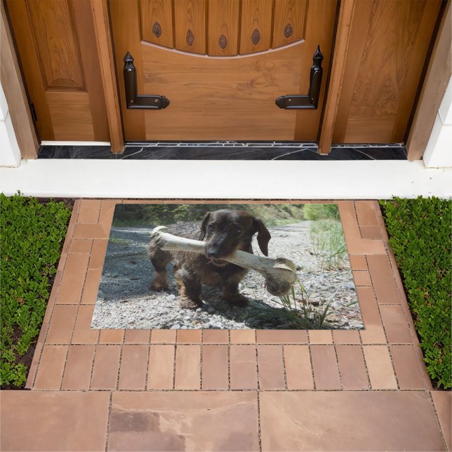 Felpudo Dachshund (Exterior)