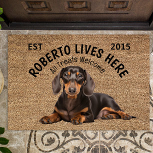 Felpudo Dachshund Perro Personalizado Perro Perdedor Doorm