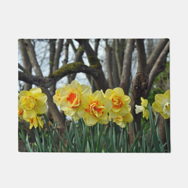 Felpudo Daffodis de primavera (Anverso)