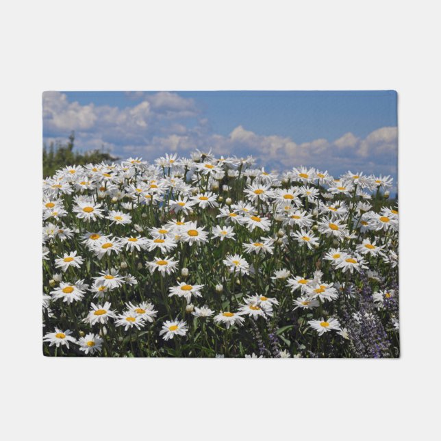 Felpudo Daisies de primavera blanca (Anverso)