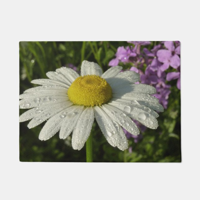 Felpudo Daisy and Summer Lilac Wildflower (Anverso)