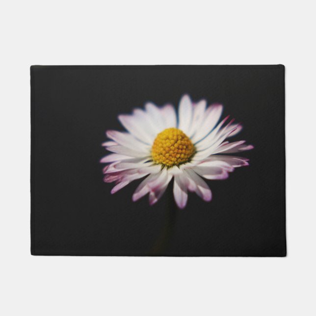 Felpudo Daisy común dmcnm (Anverso)