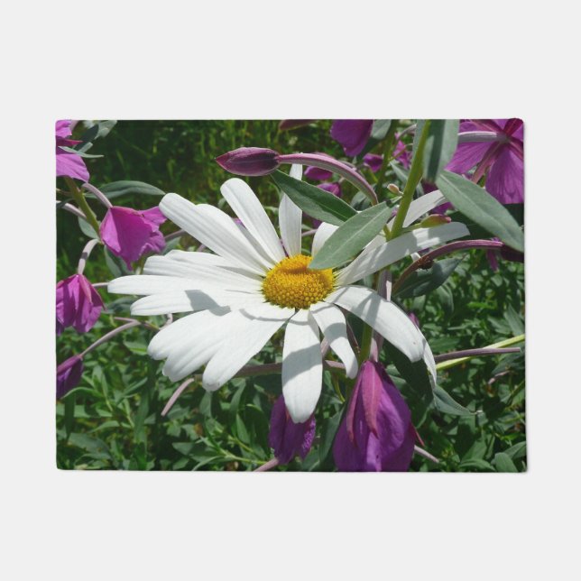 Felpudo Daisy y Fireweed Wildflower (Anverso)