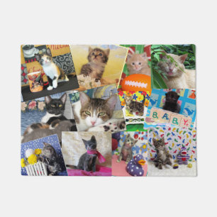 Felpudo Dama de gato loco Doormat (18 X 24)