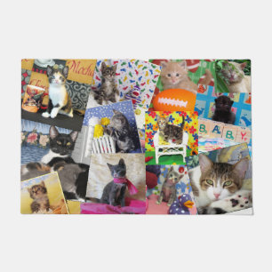 Felpudo Dama de gato loco Doormat (24 X 36)