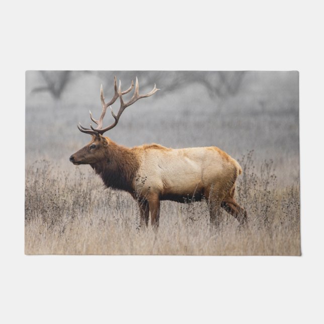 Felpudo Deer Stag Animals Wildlife Nature Buck (Anverso)