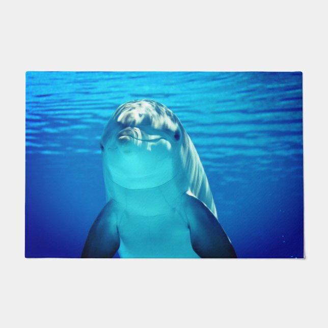 Felpudo Delfín (Anverso)