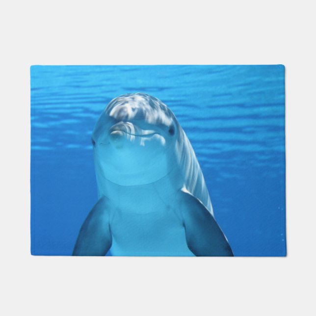 Felpudo Delfín (Anverso)