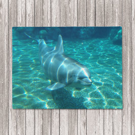 Felpudo Delfín nadador