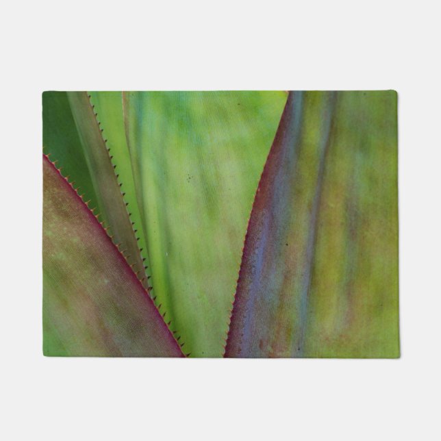 Felpudo Detalle de la planta de agave (Anverso)