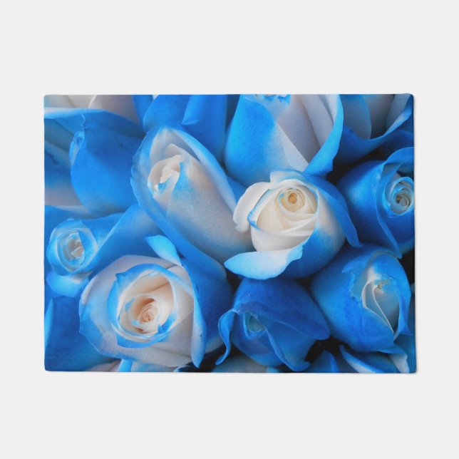 Felpudo Diemudis (Anverso)