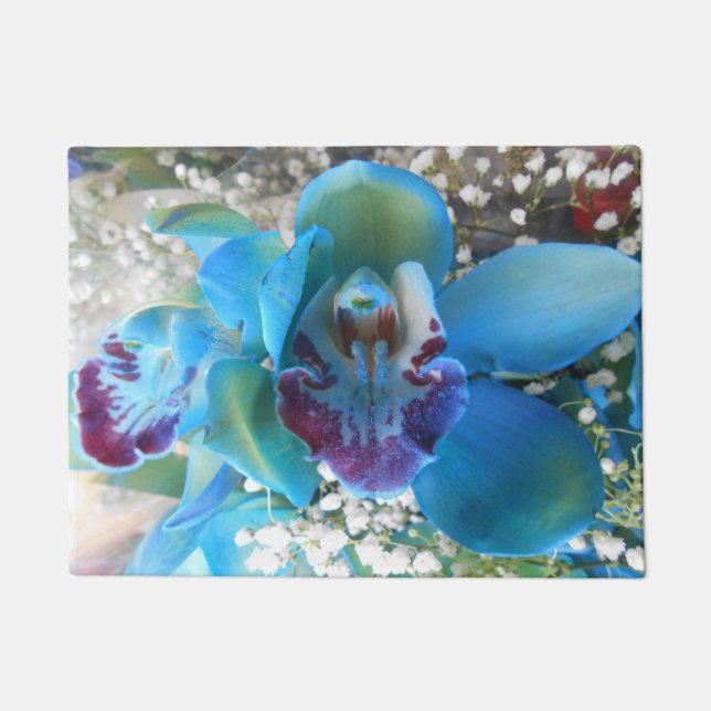 Felpudo Donella (Anverso)