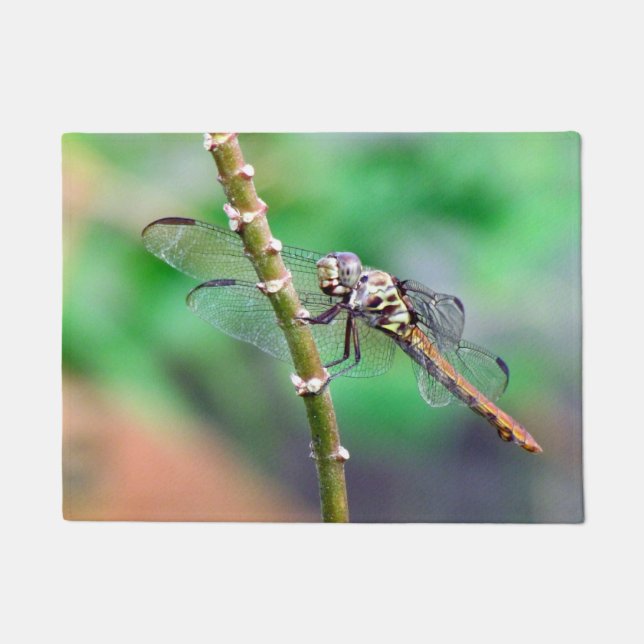 Felpudo Doormat (Anverso)